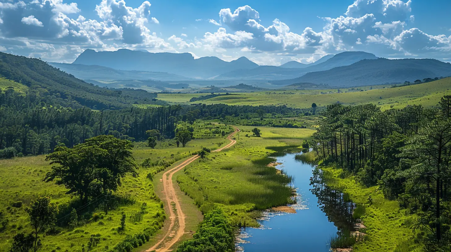 Adventures Along South Africa's Garden Route