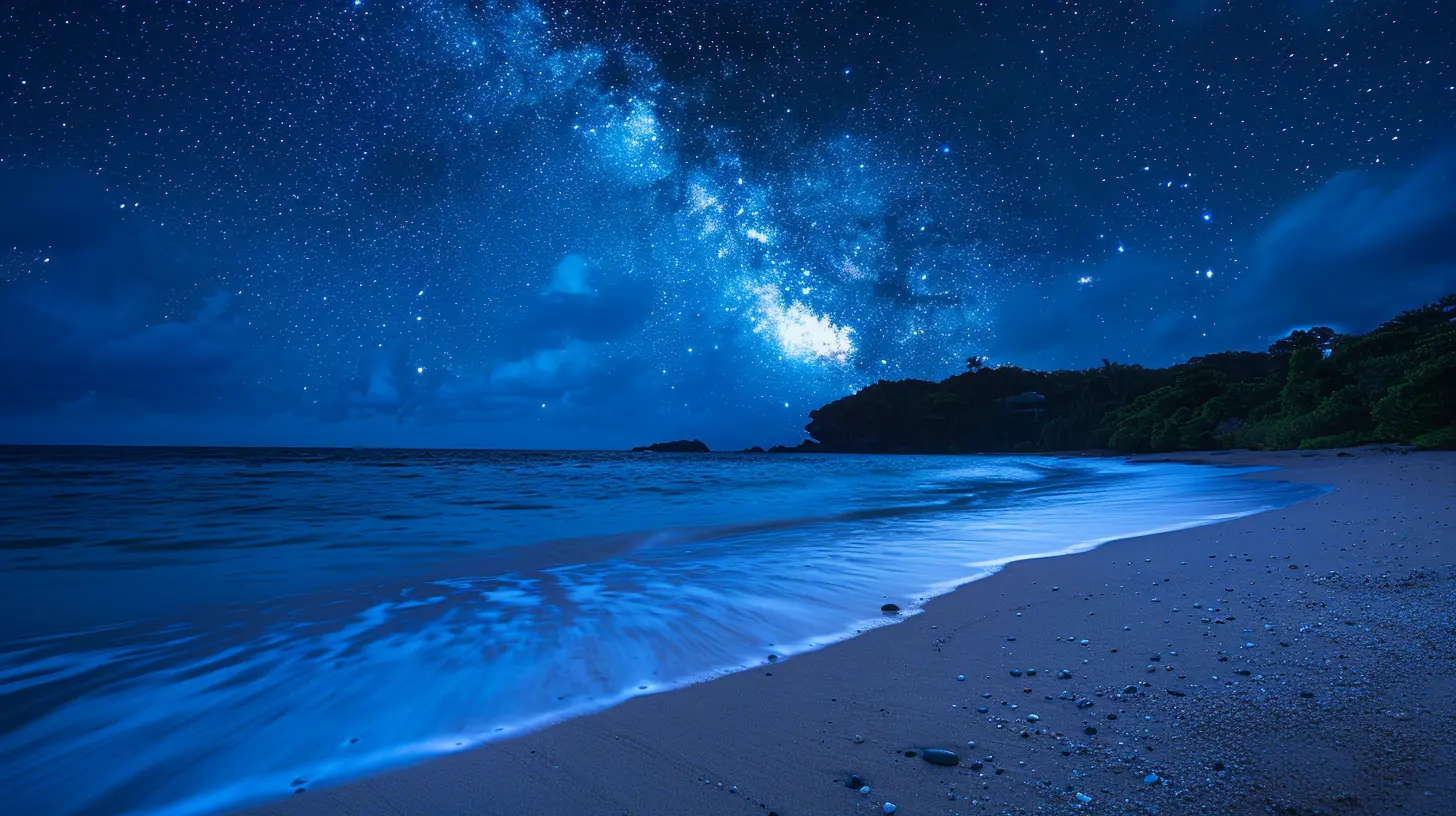 Best Beaches to Witness Bioluminescent Waters