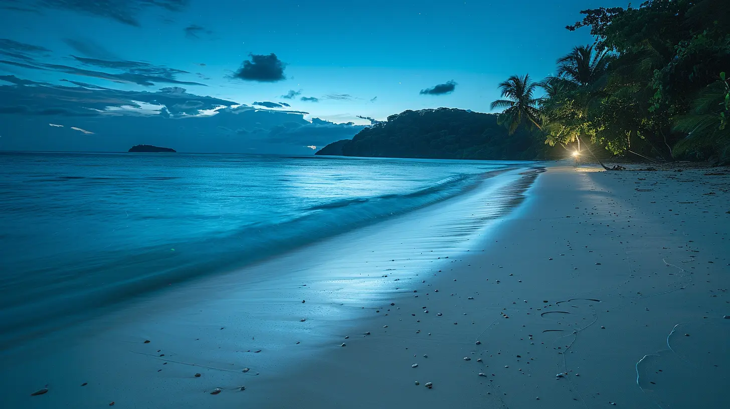 Best Beaches to Witness Bioluminescent Waters