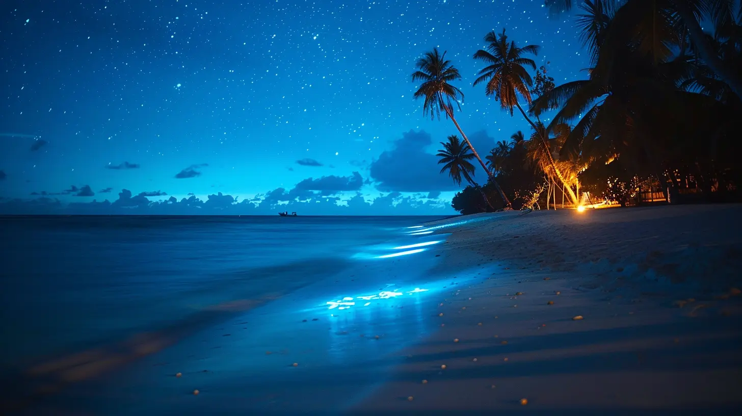 Best Beaches to Witness Bioluminescent Waters