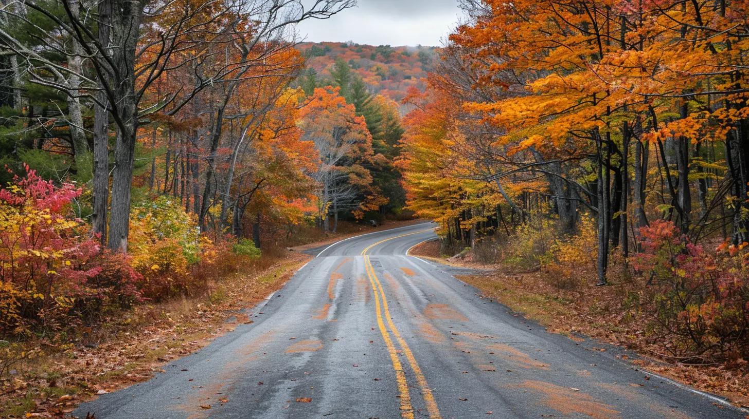 Chasing Fall Foliage: Best Routes Through New England