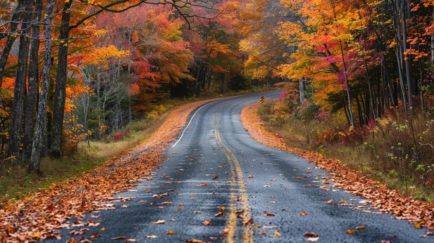 Chasing Fall Foliage: Best Routes Through New England