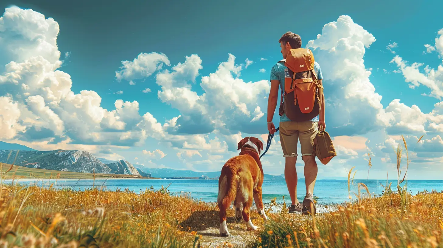 How to Find Pet-Friendly Attractions on Your Journey