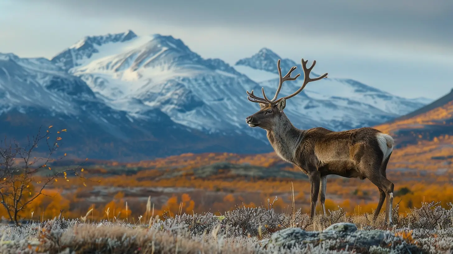 Journey Through the Cultural Heart of the Arctic Circle