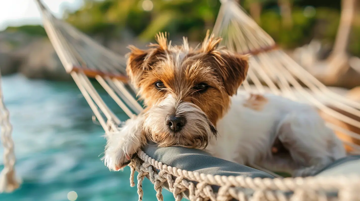 Luxury Pet Resorts: Spoiling Your Pet on Vacation