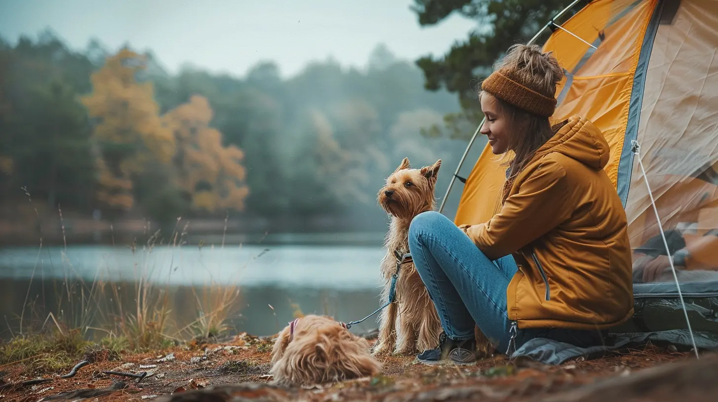 Pet-Friendly Camping: Tips for a Safe and Fun Adventure