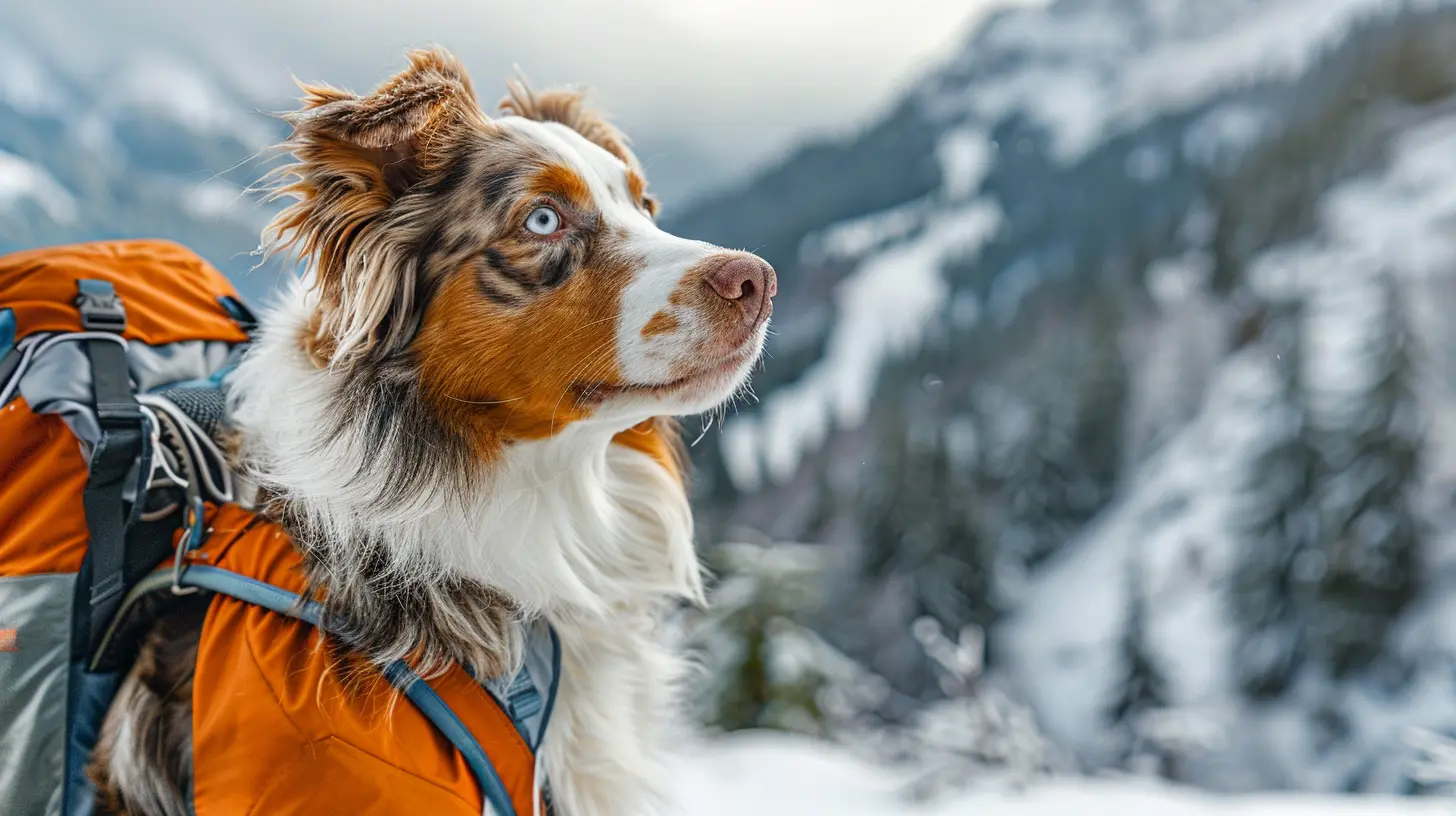 Pet-Friendly Ski Resorts for a Winter Wonderland Experience