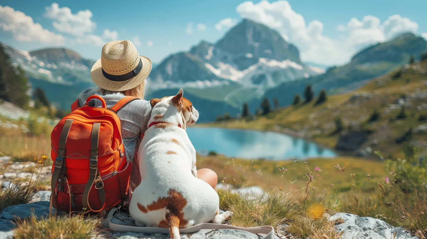 Planning a Safe and Fun Trip to Pet-Friendly Festivals