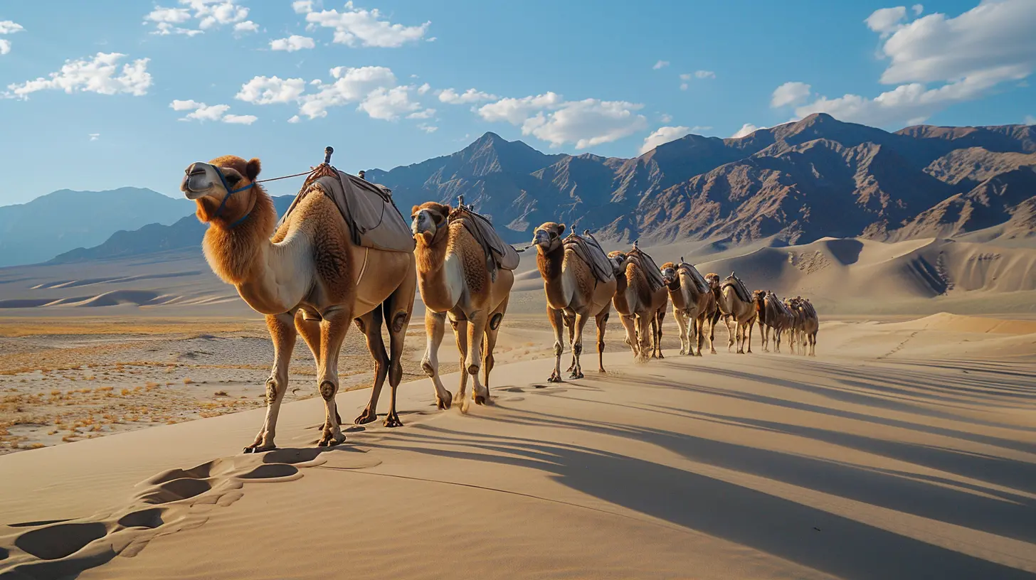 Secrets of Silk Road Cultural Expeditions