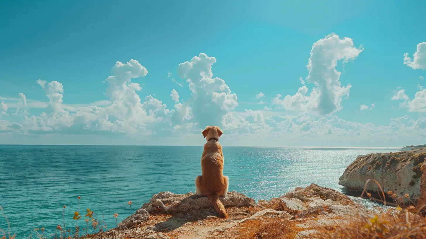 Unique Pet-Friendly Destinations You Haven’t Thought Of