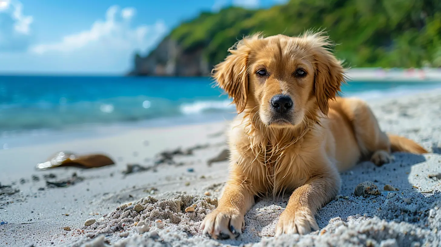 Vacation Rentals that Embrace Both You and Your Pets