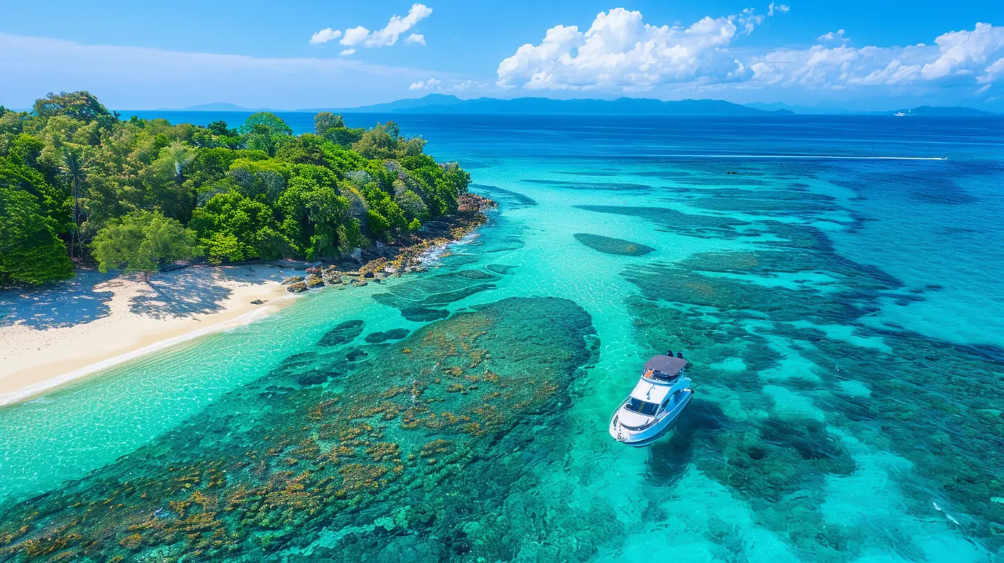 When to Dive in the Great Barrier Reef for Optimal Conditions