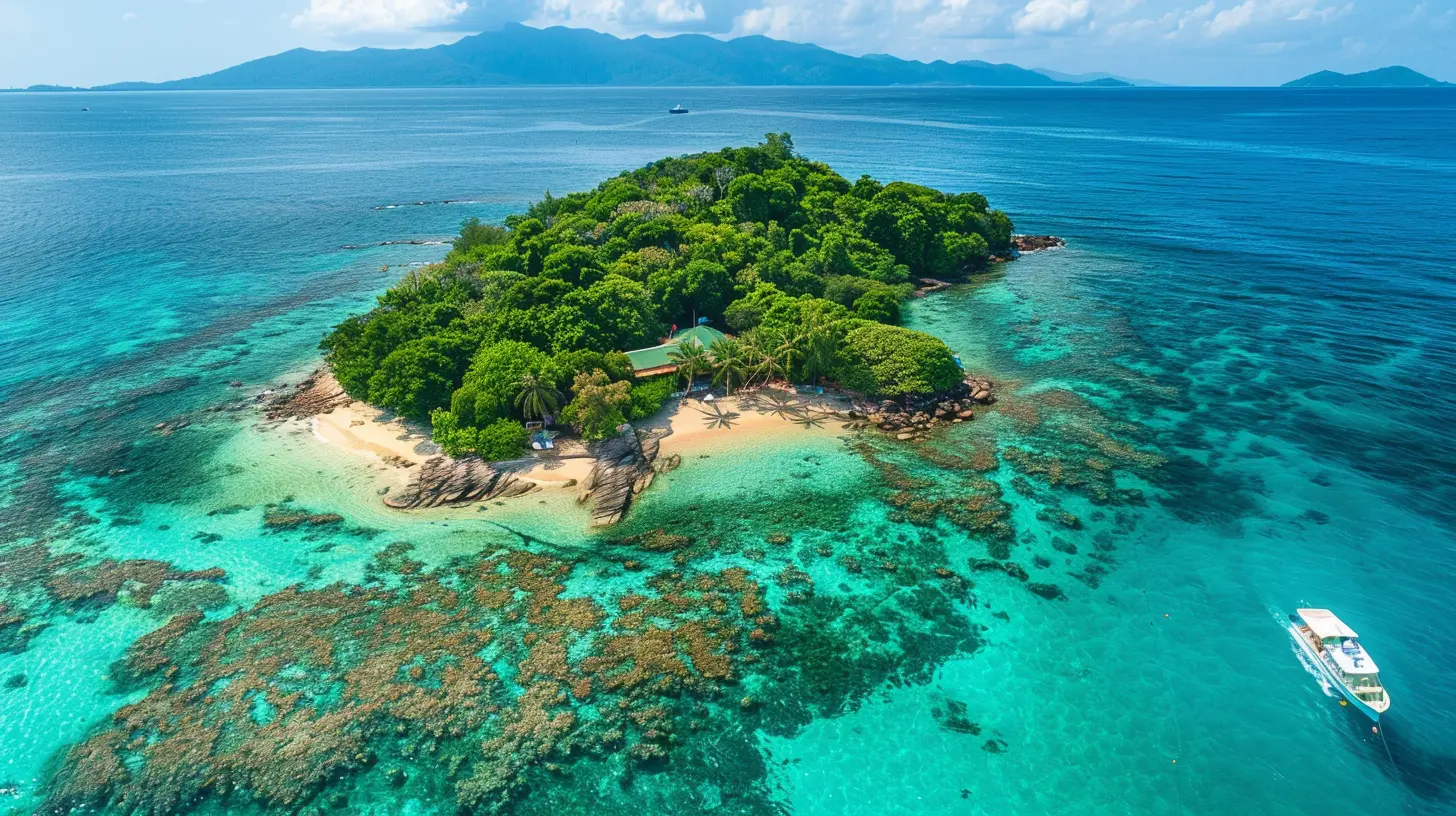 When to Dive in the Great Barrier Reef for Optimal Conditions