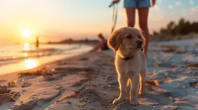 Best International Destinations for Pet Lovers