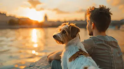 City Escapes that Welcome Pets with Open Arms