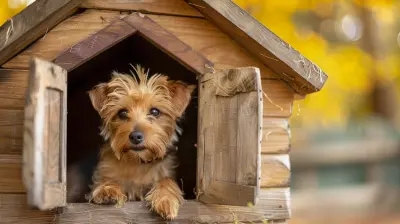 Cozy Cottages and Cabins Where Pets are Always Welcome