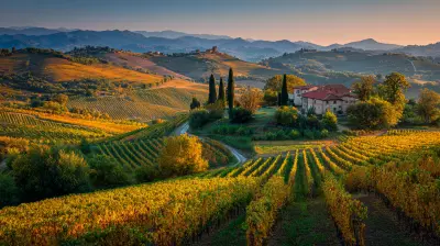 Cultivate Paradise: The World's Most Breathtaking Farms and Vineyards