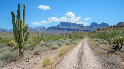 Desert Drives: Discover the Beauty of Arizona’s Open Roads