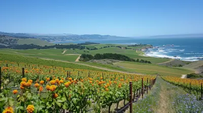 From Wine Country to Redwood Forests: Northern California Road Trip Guide