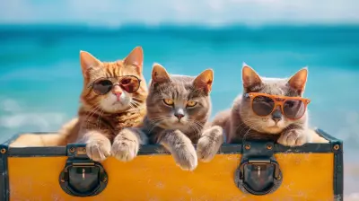 Luxury Vacation Ideas Your Pet Will Love Too