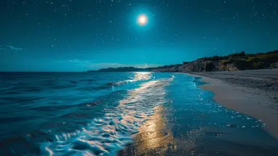 Moonlit Strolls: Best Beaches for Romantic Walks