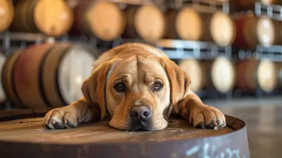 Pet-Friendly Wineries You Won’t Want to Miss