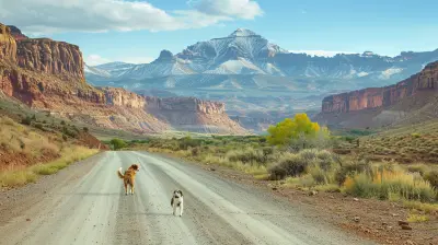 Pet Safety on the Road: Essential Gear and Tips