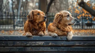 Pet Travel Etiquette: Keeping It Cool in Public Spaces