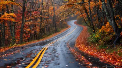 Road Trip Bliss: Scenic Routes Through Unforgettable Locations