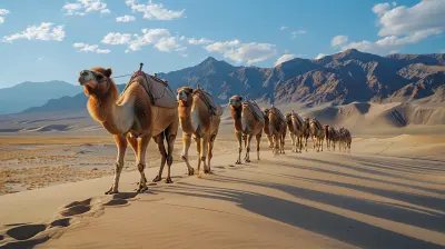 Secrets of Silk Road Cultural Expeditions
