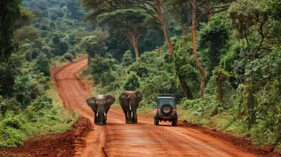 The Great African Safari: Road Trip Routes Through Kenya and Tanzania