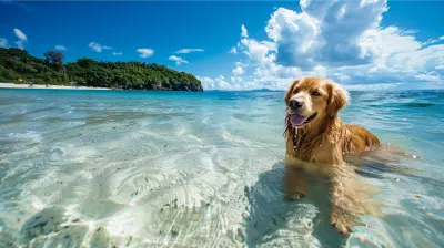 Top Dog Beaches for a Splashing Good Time