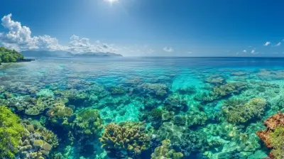 When to Dive in the Great Barrier Reef for Optimal Conditions