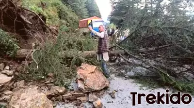 Traffic snarls expose environmental cost of unchecked tourism in Himachal
